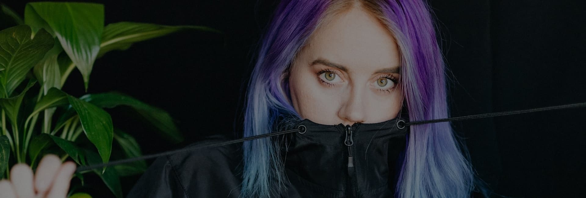 Music banner